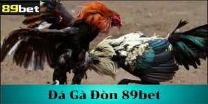 Tìm hiểu về đá gà đòn 89bet