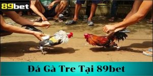 Tìm hiểu về đá gà tre 89bet
