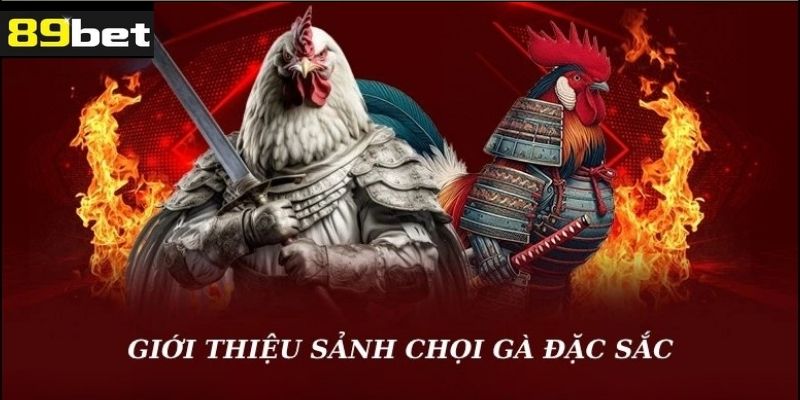 Tìm hiểu về sảnh live đá gà 89bet
