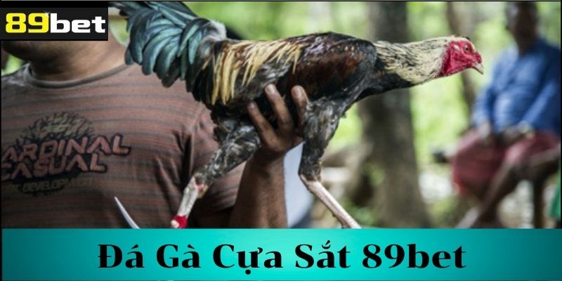 Tìm hiểu về đá gà cựa sắt 89bet
