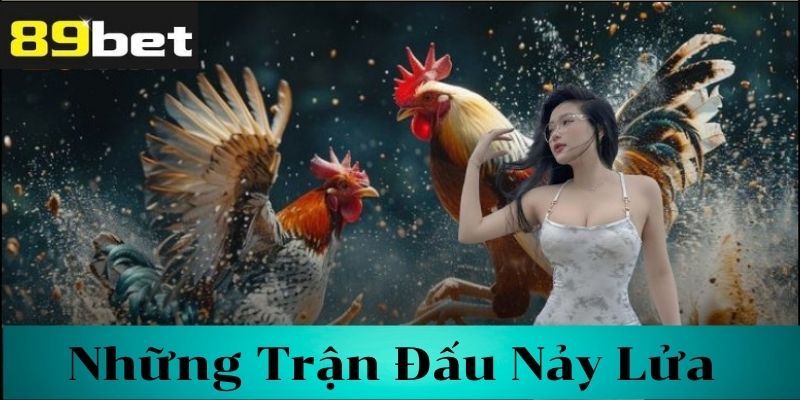 Các Giống Gà Chuyên Dùng Trong Đá Gà Cựa Sắt