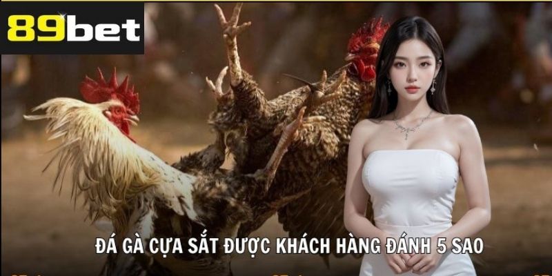 Cá Cược Đá Gà Cựa Sắt – Sôi Động Và Hấp Dẫn
